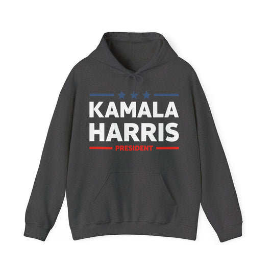 Kamala Harris President 2024 Campaign Hoodie For Men Women