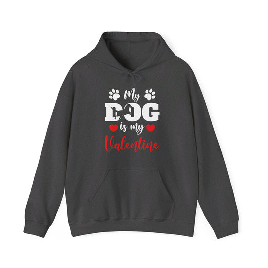 Funny My Dog is My Valentine Dog Lovers Hoodie For Men Women Hoodie