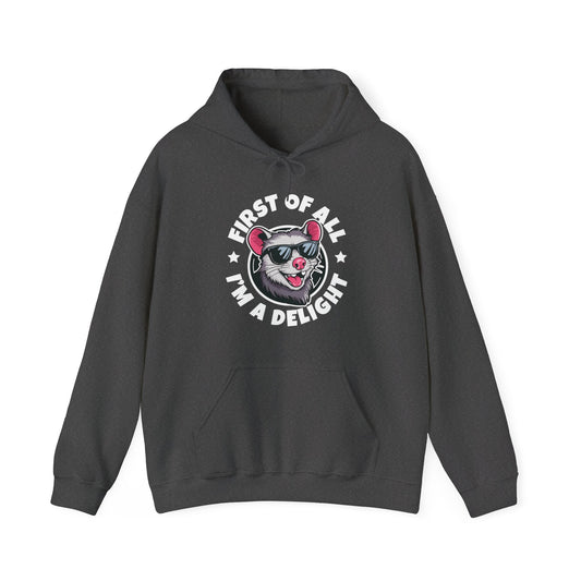 Funny First Of All I'm A Delight Sarcastic Angry Opossum Possum Hoodie For Men Women Hoodie