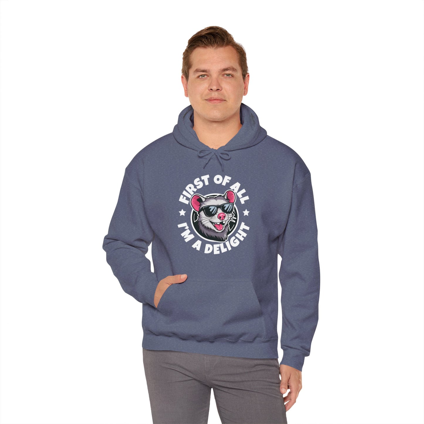 Funny First Of All I'm A Delight Sarcastic Angry Opossum Possum Hoodie For Men Women Hoodie
