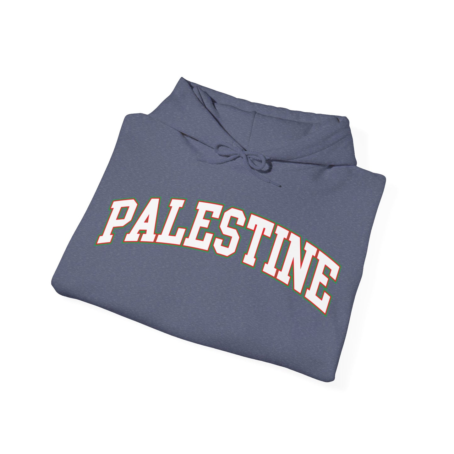 Palestine College Style Texas TX Vintage Sports T-Shirt For Men Women Hoodie
