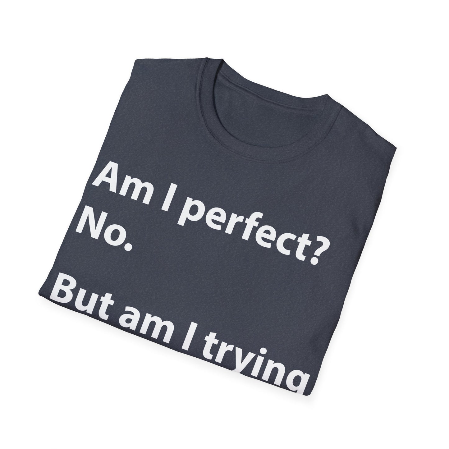 Funny Am I Perfect No. Am I Trying To Be A Better Person Also No Sarcastic T-Shirt