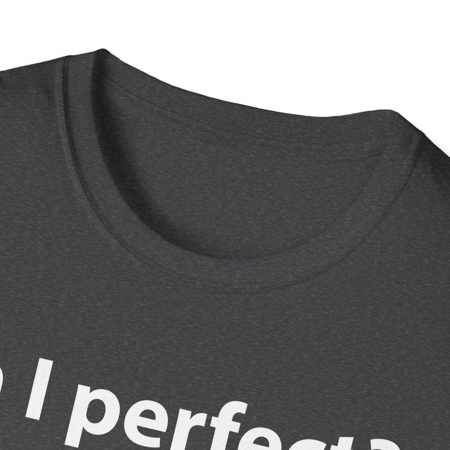 Funny Am I Perfect No. Am I Trying To Be A Better Person Also No Sarcastic T-Shirt