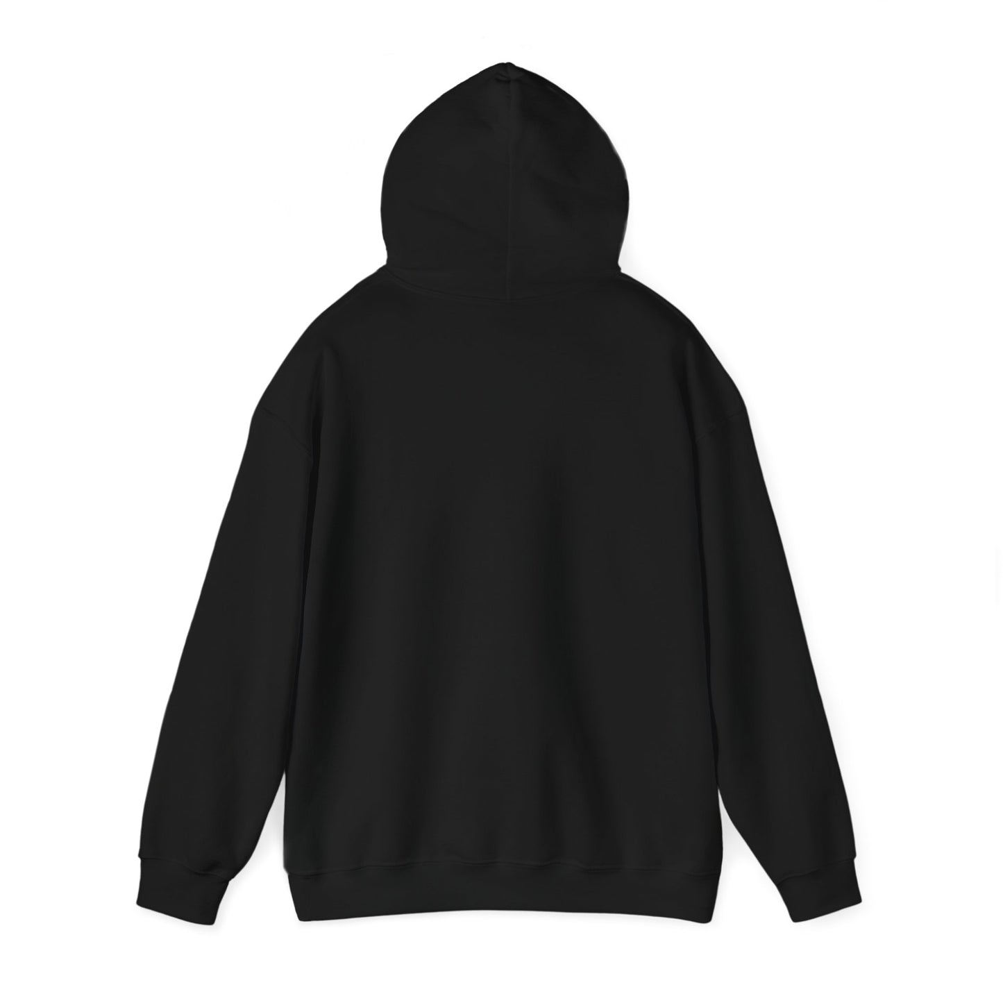 I Already Have Everything So They Just Got Me This Hoodie Funny Party Hoodie For Men Women Hoodie