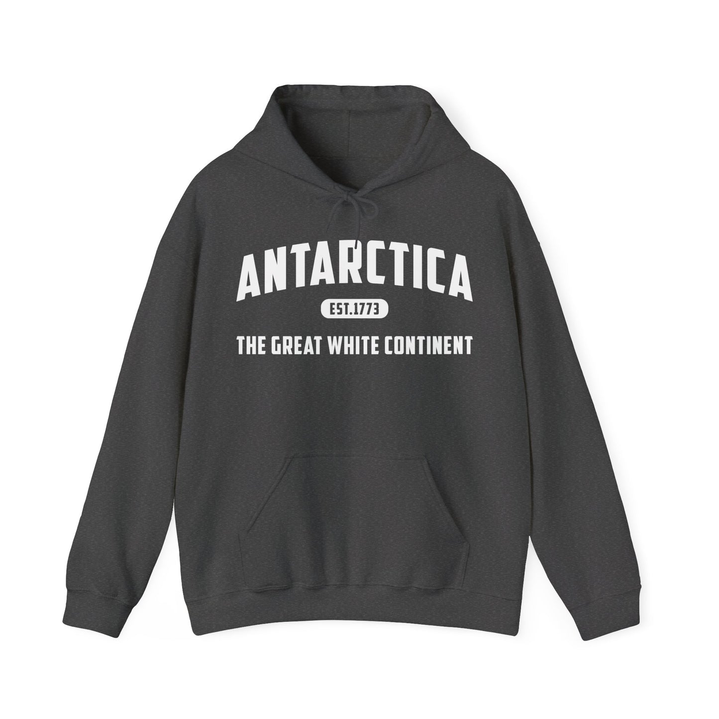 Antarctica Est. 1773 Vintage Artic Great White Continent Hoodie For Men Women Hoodie