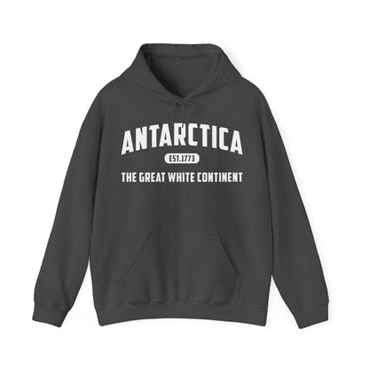 Antarctica Est. 1773 Vintage Artic Great White Continent Hoodie For Men Women Hoodie