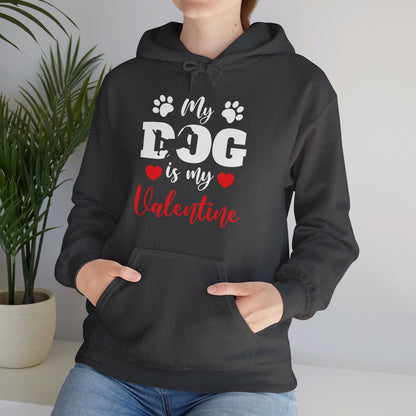 Funny My Dog is My Valentine Dog Lovers Hoodie For Men Women Hoodie