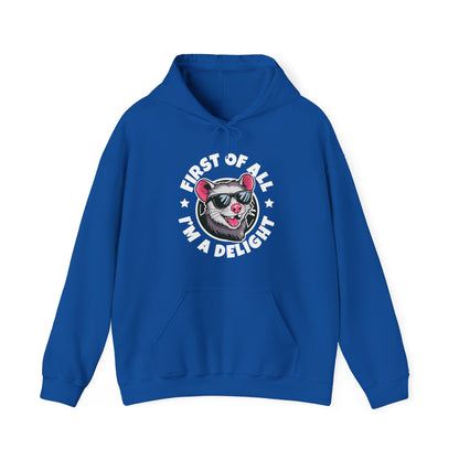 Funny First Of All I'm A Delight Sarcastic Angry Opossum Possum Hoodie For Men Women Hoodie