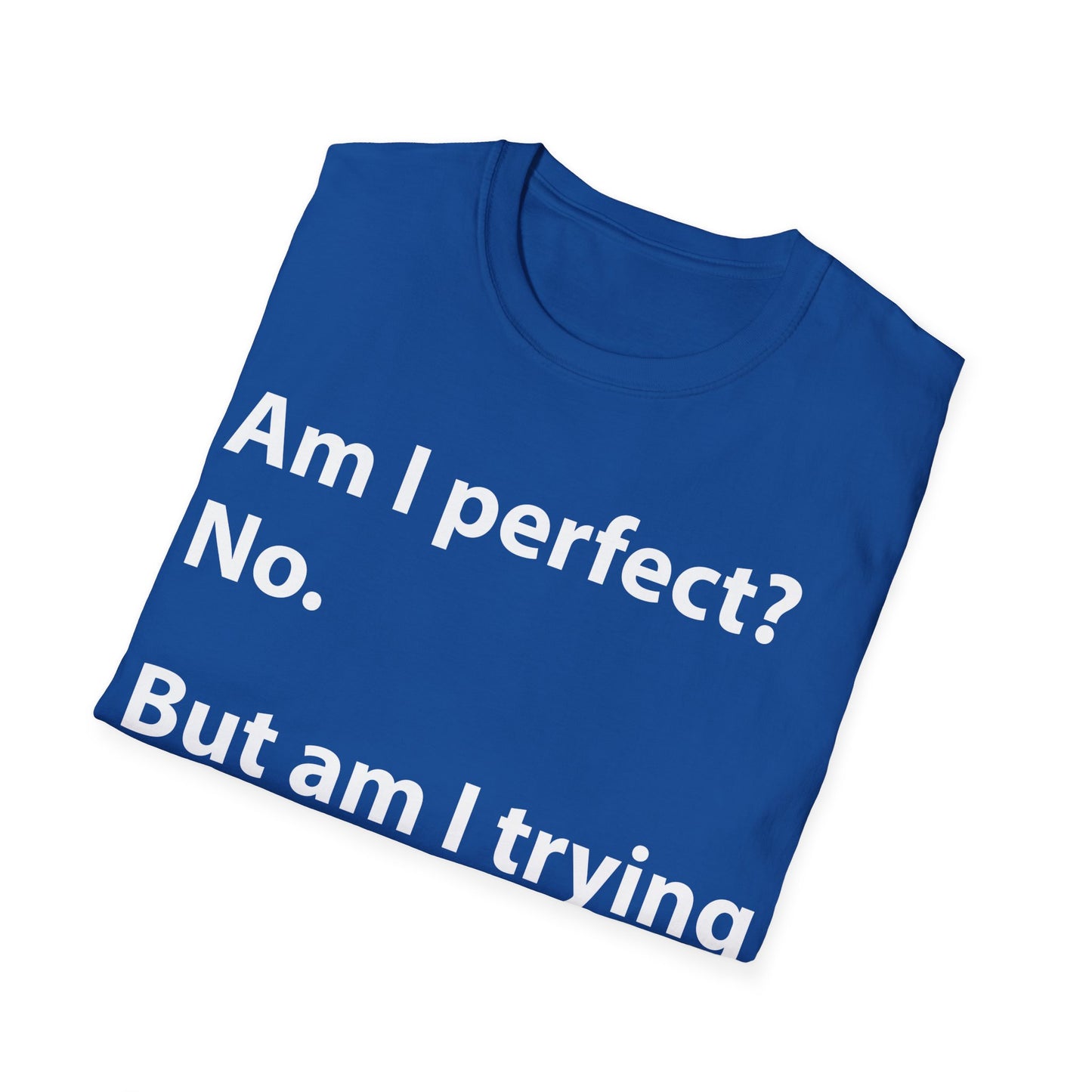 Funny Am I Perfect No. Am I Trying To Be A Better Person Also No Sarcastic T-Shirt