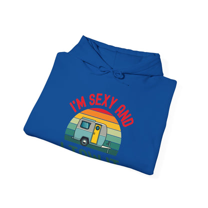 Funny I Am Sexy And I Tow It Retro Camping RV Camper Hoodie For Men Women Travelers