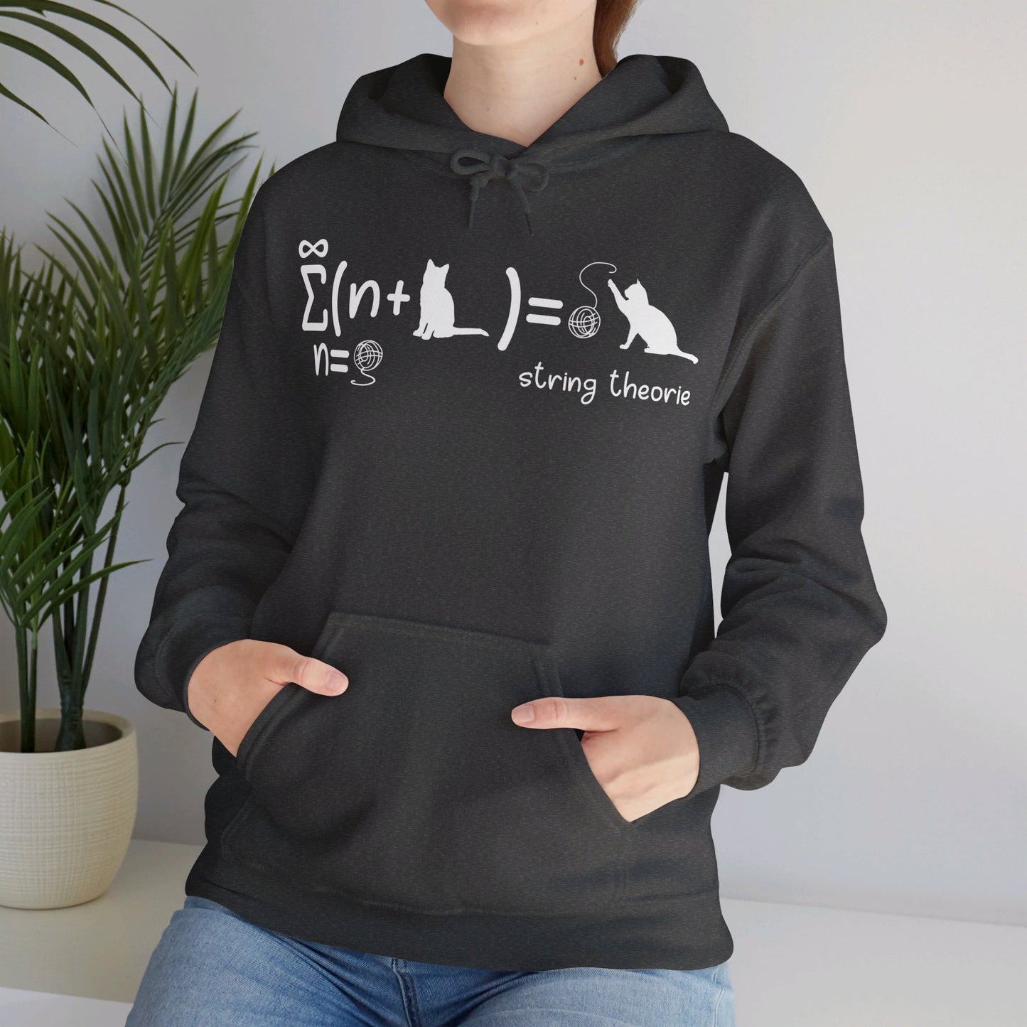 Funny String Theory Science Nerd Physics Schrodinger's Cat Hoodie For Men Women Hoodie