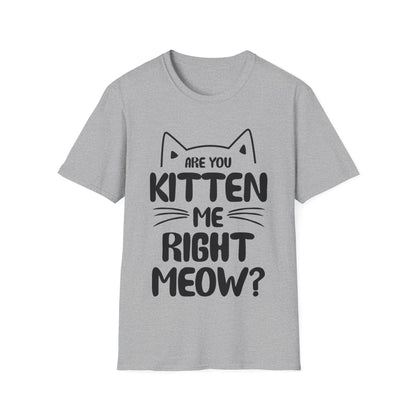 Funny Are You Kitten Me Right Meow T-Shirt Cat Joke Shirt Men Women