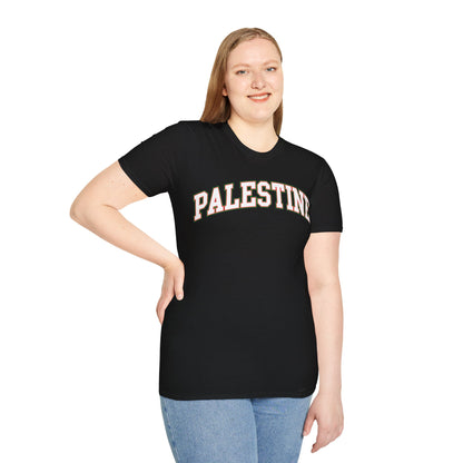 Palestine College Style Texas TX Vintage Sports T-Shirt For Men Women T-Shirt