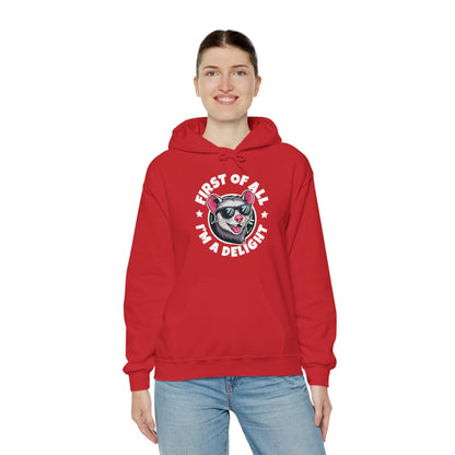 Funny First Of All I'm A Delight Sarcastic Angry Opossum Possum Hoodie For Men Women Hoodie