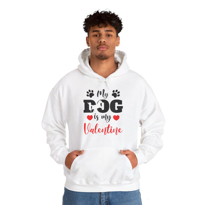 Funny My Dog is My Valentine Dog Lovers Hoodie For Men Women Hoodie
