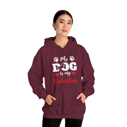 Funny My Dog is My Valentine Dog Lovers Hoodie For Men Women Hoodie