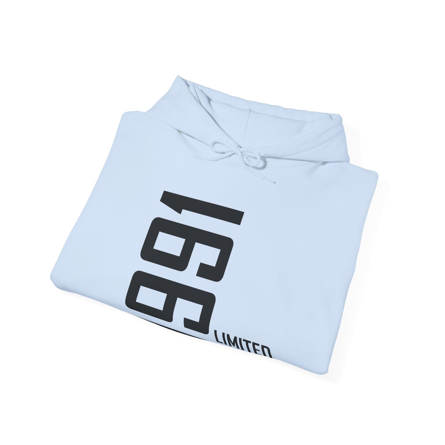 35th Birthday Man Woman 35 Years 1991 Gift Hoodie