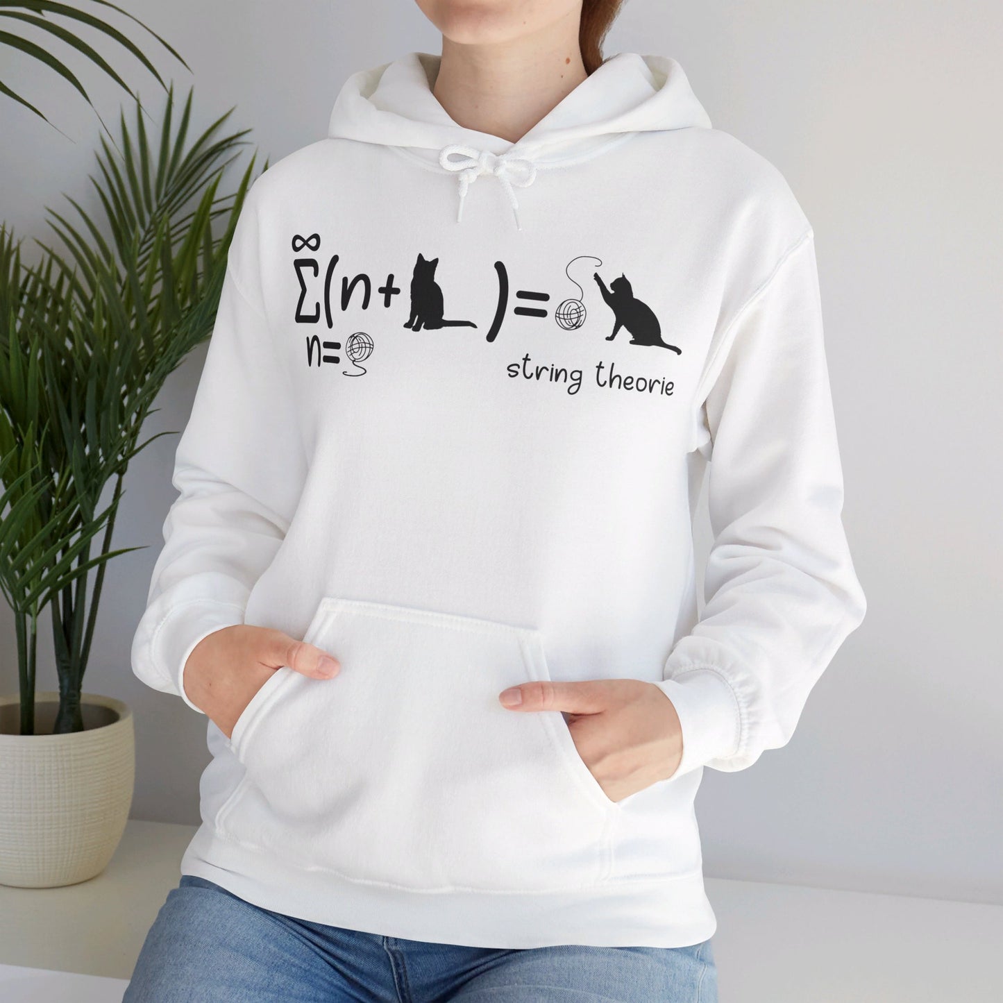 Funny String Theory Science Nerd Physics Schrodinger's Cat Hoodie For Men Women Hoodie