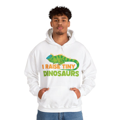 Funny Leopard Gecko I Raise Tiny Dinosaurs Lizard Reptile Geckos Hoodie For Men Women