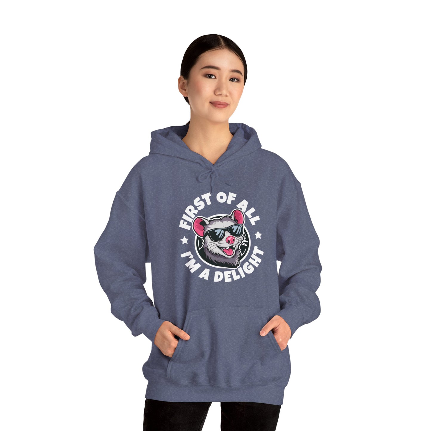 Funny First Of All I'm A Delight Sarcastic Angry Opossum Possum Hoodie For Men Women Hoodie