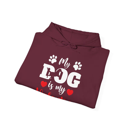 Funny My Dog is My Valentine Dog Lovers Hoodie For Men Women Hoodie