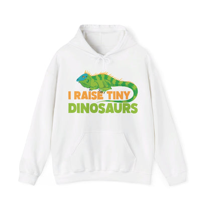 Funny Leopard Gecko I Raise Tiny Dinosaurs Lizard Reptile Geckos Hoodie For Men Women