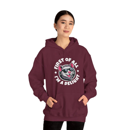 Funny First Of All I'm A Delight Sarcastic Angry Opossum Possum Hoodie For Men Women Hoodie