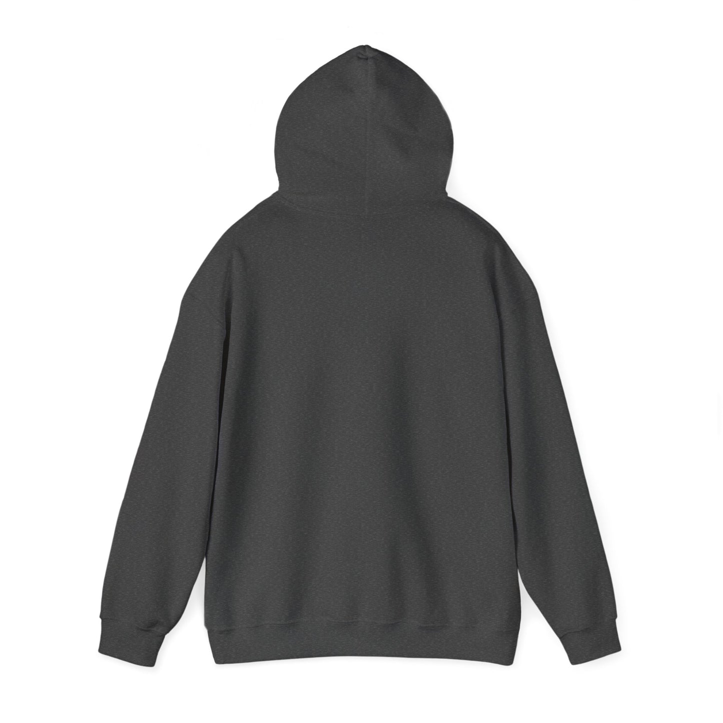 Funny Oldometer Odometer 50th Birthday Gift 50 yrs Old Joke Hoodie For Men Women Hoodie