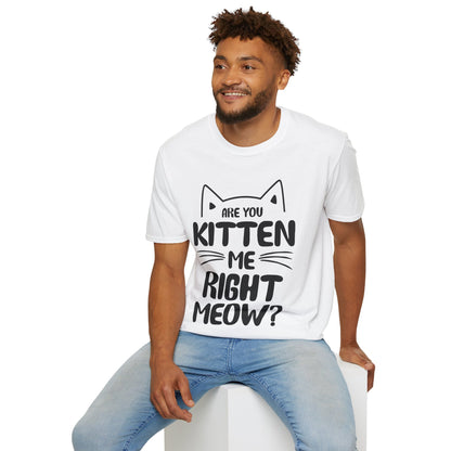 Funny Are You Kitten Me Right Meow T-Shirt Cat Joke Shirt Men Women