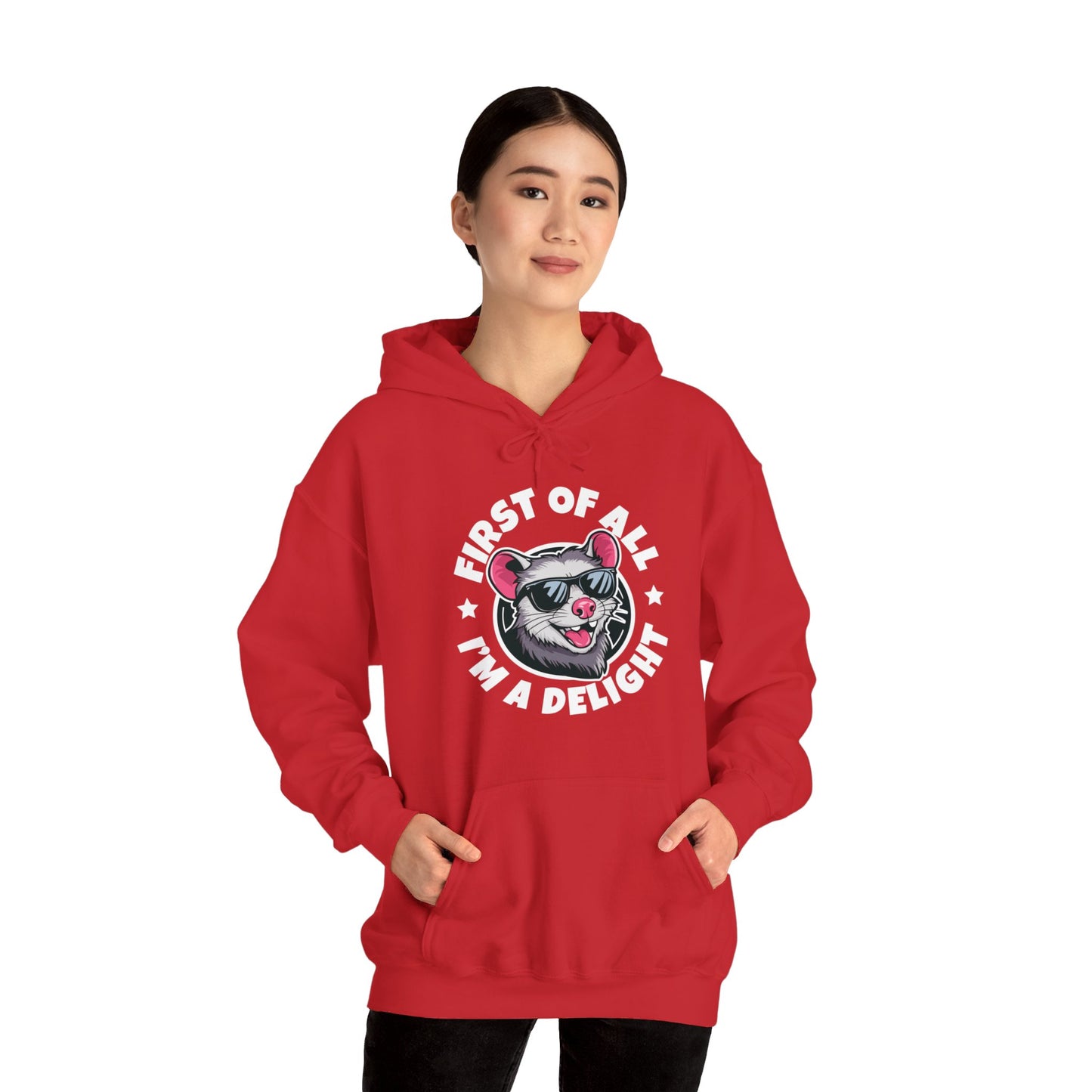 Funny First Of All I'm A Delight Sarcastic Angry Opossum Possum Hoodie For Men Women Hoodie