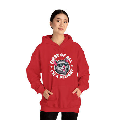 Funny First Of All I'm A Delight Sarcastic Angry Opossum Possum Hoodie For Men Women Hoodie