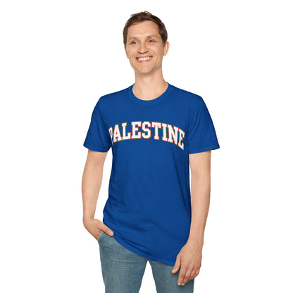 Palestine College Style Texas TX Vintage Sports T-Shirt For Men Women T-Shirt
