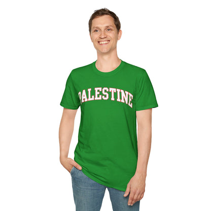 Palestine College Style Texas TX Vintage Sports T-Shirt For Men Women T-Shirt
