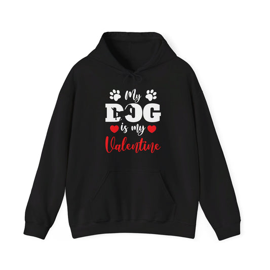 Funny My Dog is My Valentine Dog Lovers Hoodie For Men Women Hoodie