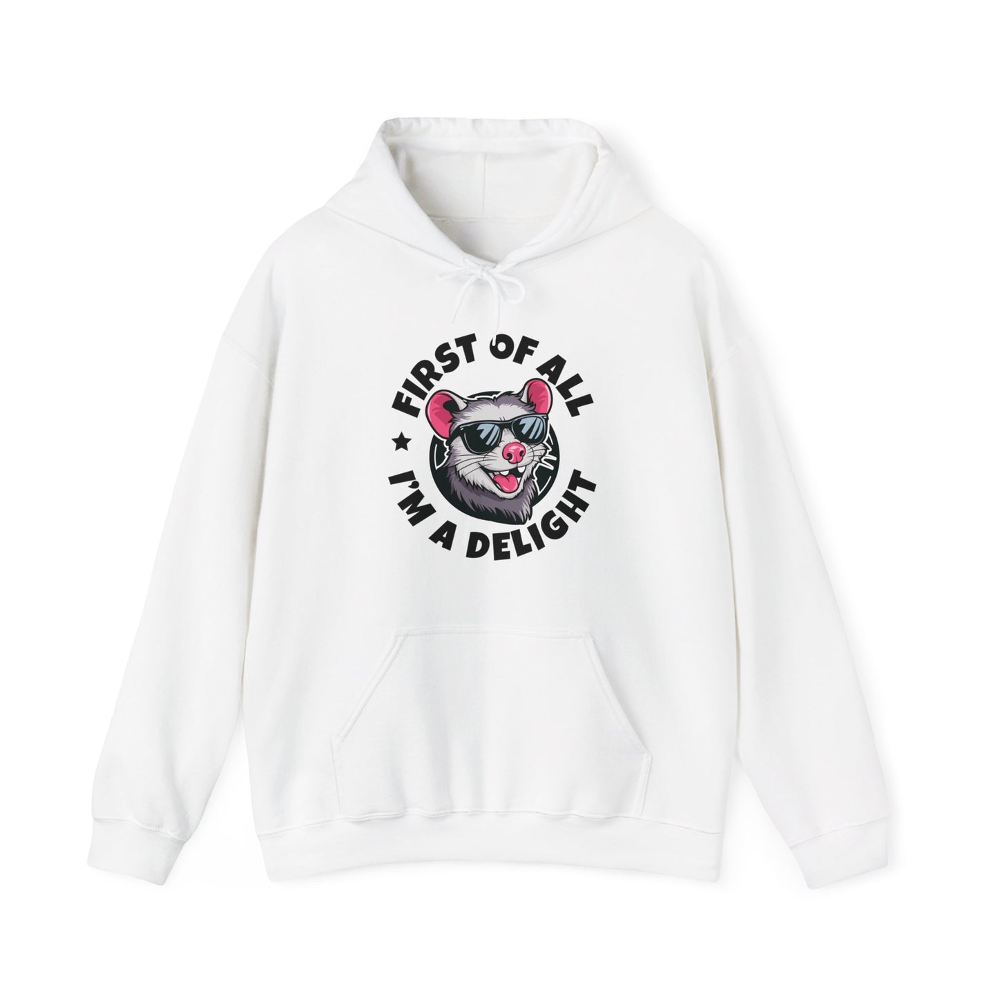 Funny First Of All I'm A Delight Sarcastic Angry Opossum Possum Hoodie For Men Women Hoodie