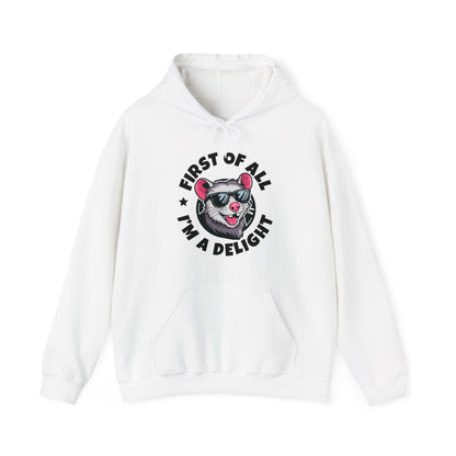 Funny First Of All I'm A Delight Sarcastic Angry Opossum Possum Hoodie For Men Women Hoodie