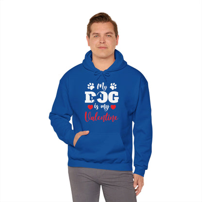 Funny My Dog is My Valentine Dog Lovers Hoodie For Men Women Hoodie