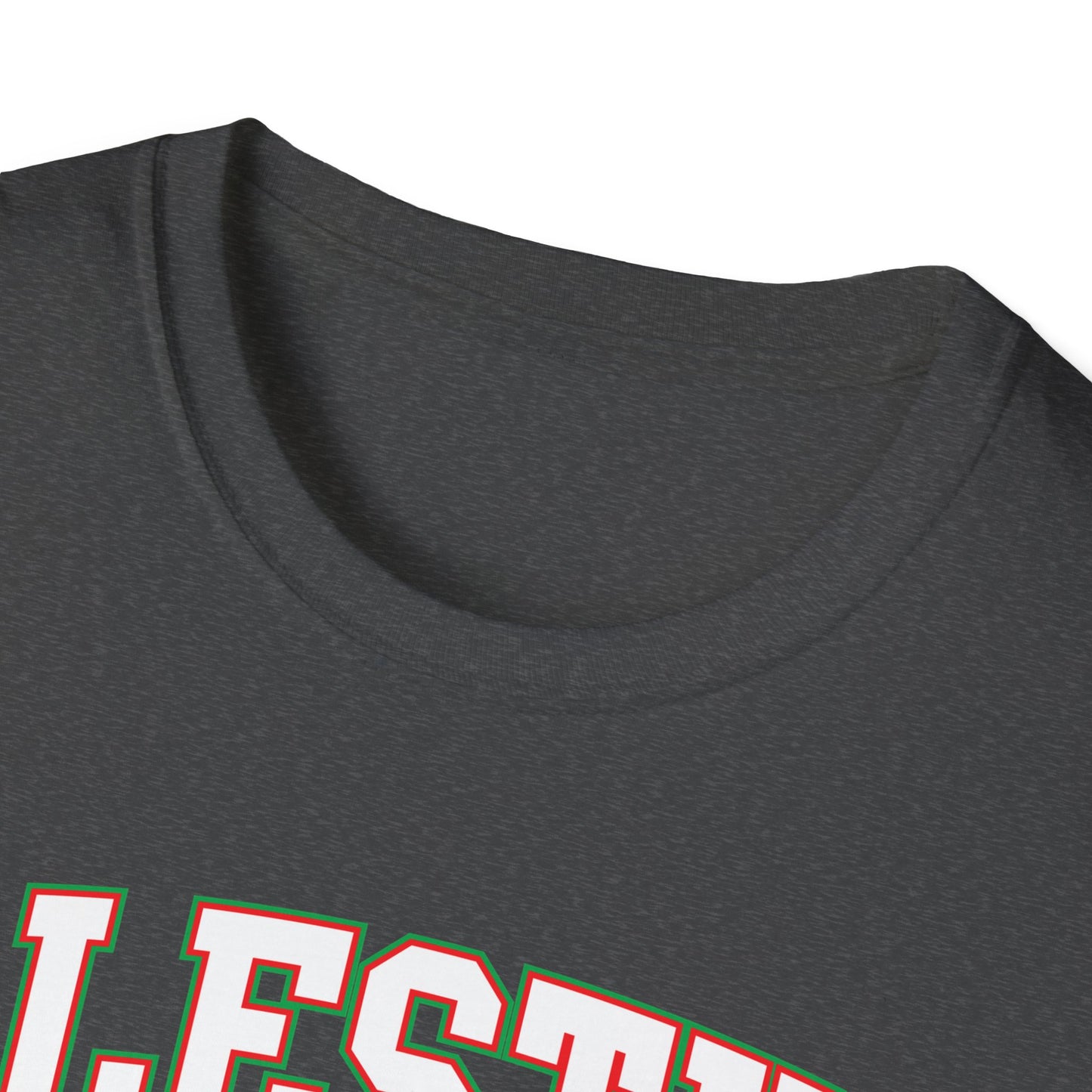 Palestine College Style Texas TX Vintage Sports T-Shirt For Men Women T-Shirt