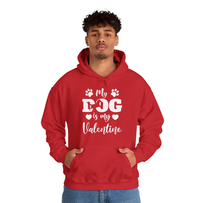 Funny My Dog is My Valentine Dog Lovers Hoodie For Men Women Hoodie