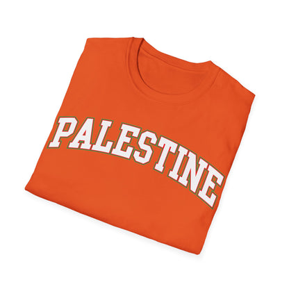 Palestine College Style Texas TX Vintage Sports T-Shirt For Men Women T-Shirt