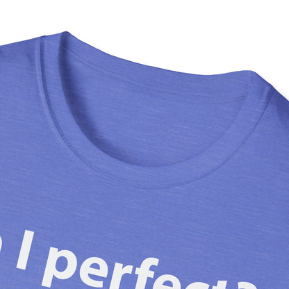 Funny Am I Perfect No. Am I Trying To Be A Better Person Also No Sarcastic T-Shirt