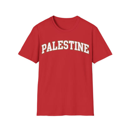 Palestine College Style Texas TX Vintage Sports T-Shirt For Men Women T-Shirt