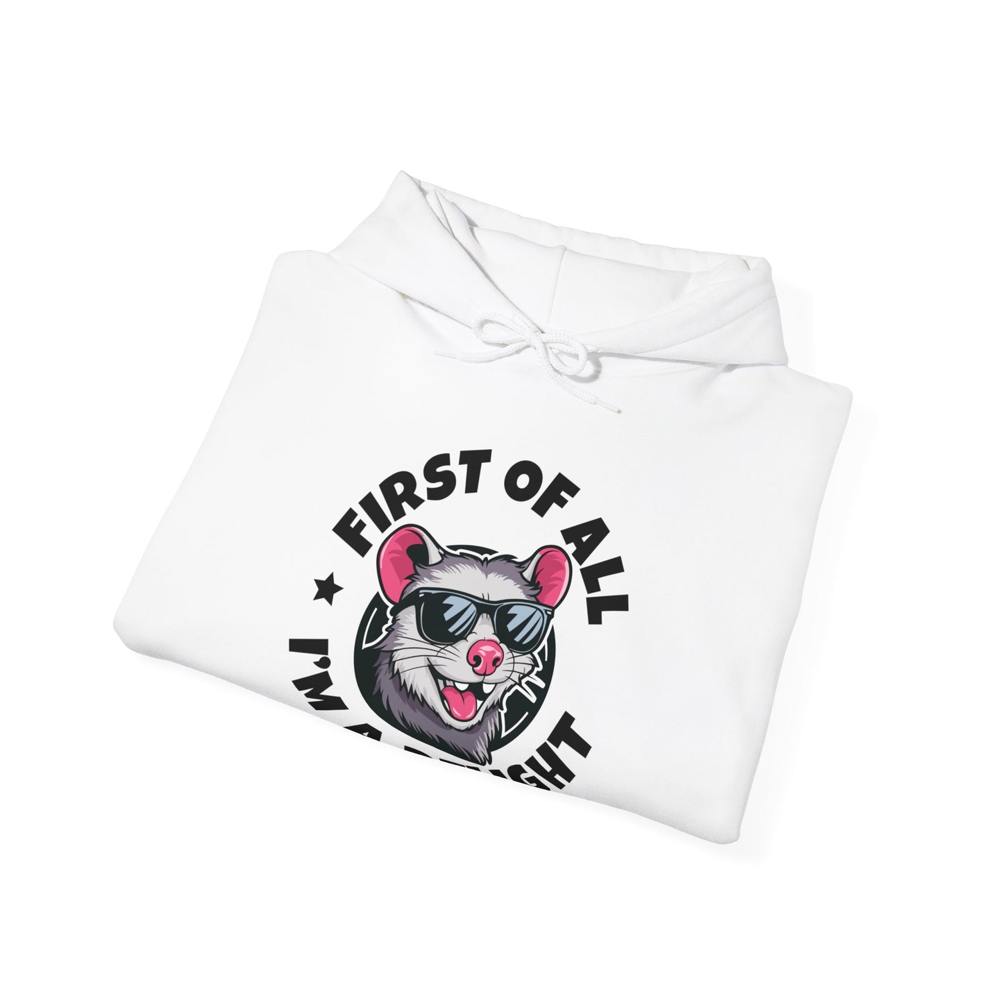 Funny First Of All I'm A Delight Sarcastic Angry Opossum Possum Hoodie For Men Women Hoodie