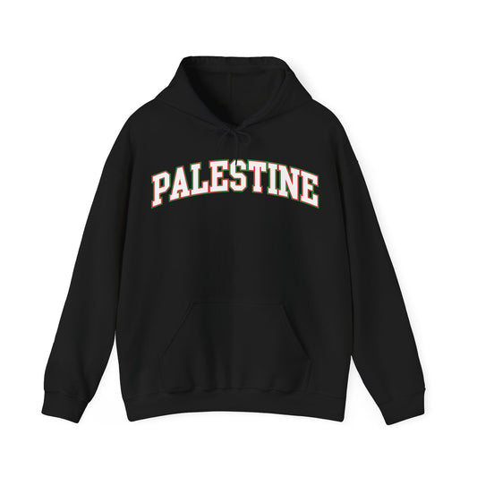 Palestine College Style Texas TX Vintage Sports T-Shirt For Men Women Hoodie