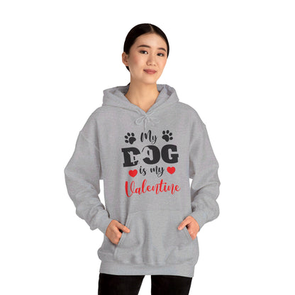 Funny My Dog is My Valentine Dog Lovers Hoodie For Men Women Hoodie
