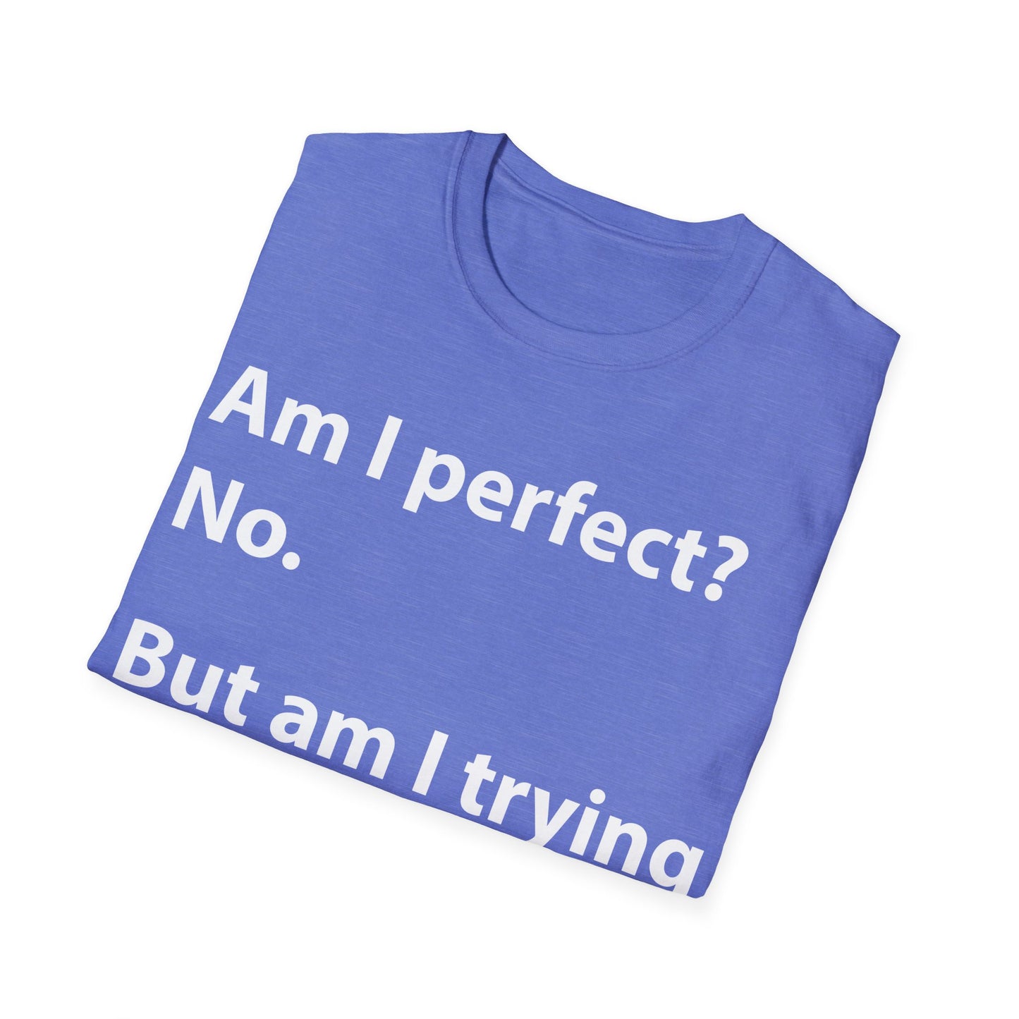 Funny Am I Perfect No. Am I Trying To Be A Better Person Also No Sarcastic T-Shirt