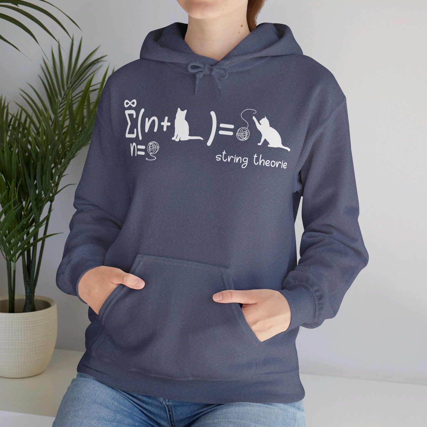 Funny String Theory Science Nerd Physics Schrodinger's Cat Hoodie For Men Women Hoodie