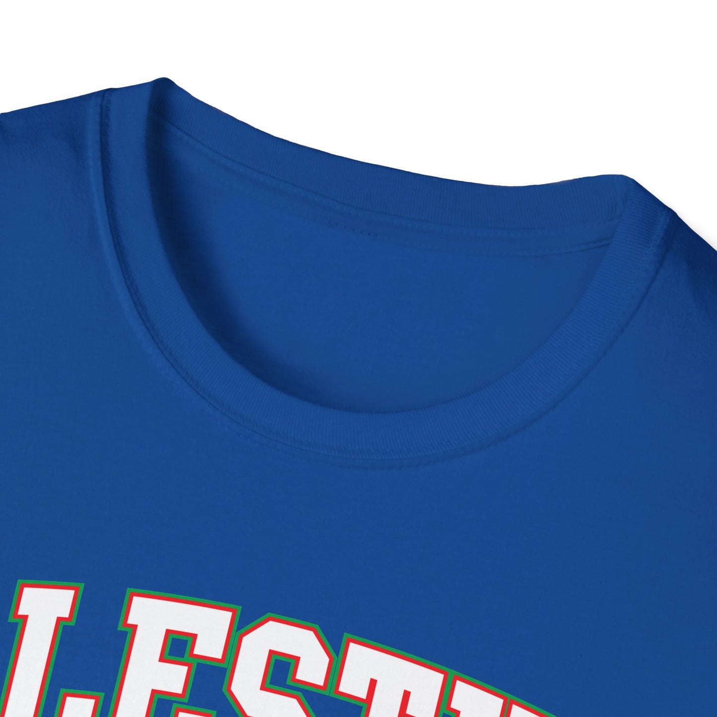 Palestine College Style Texas TX Vintage Sports T-Shirt For Men Women T-Shirt