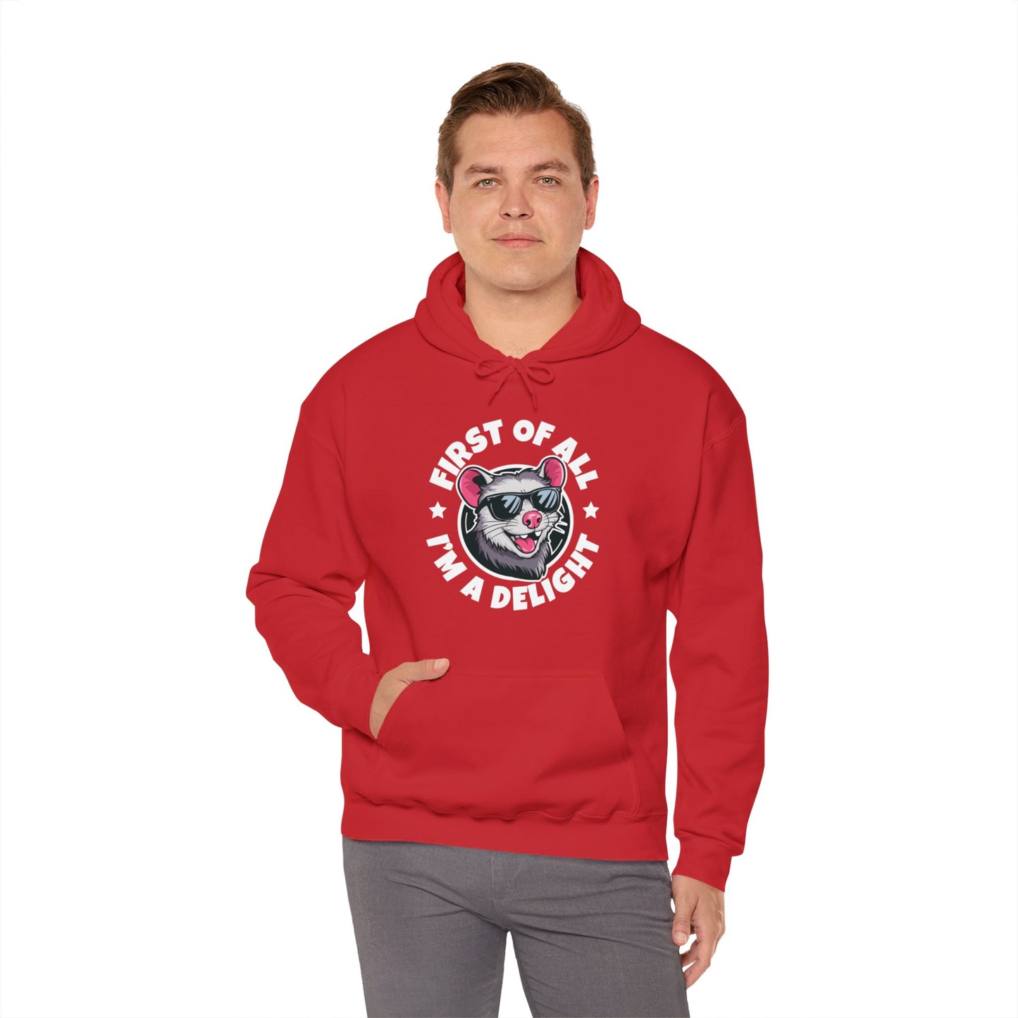 Funny First Of All I'm A Delight Sarcastic Angry Opossum Possum Hoodie For Men Women Hoodie
