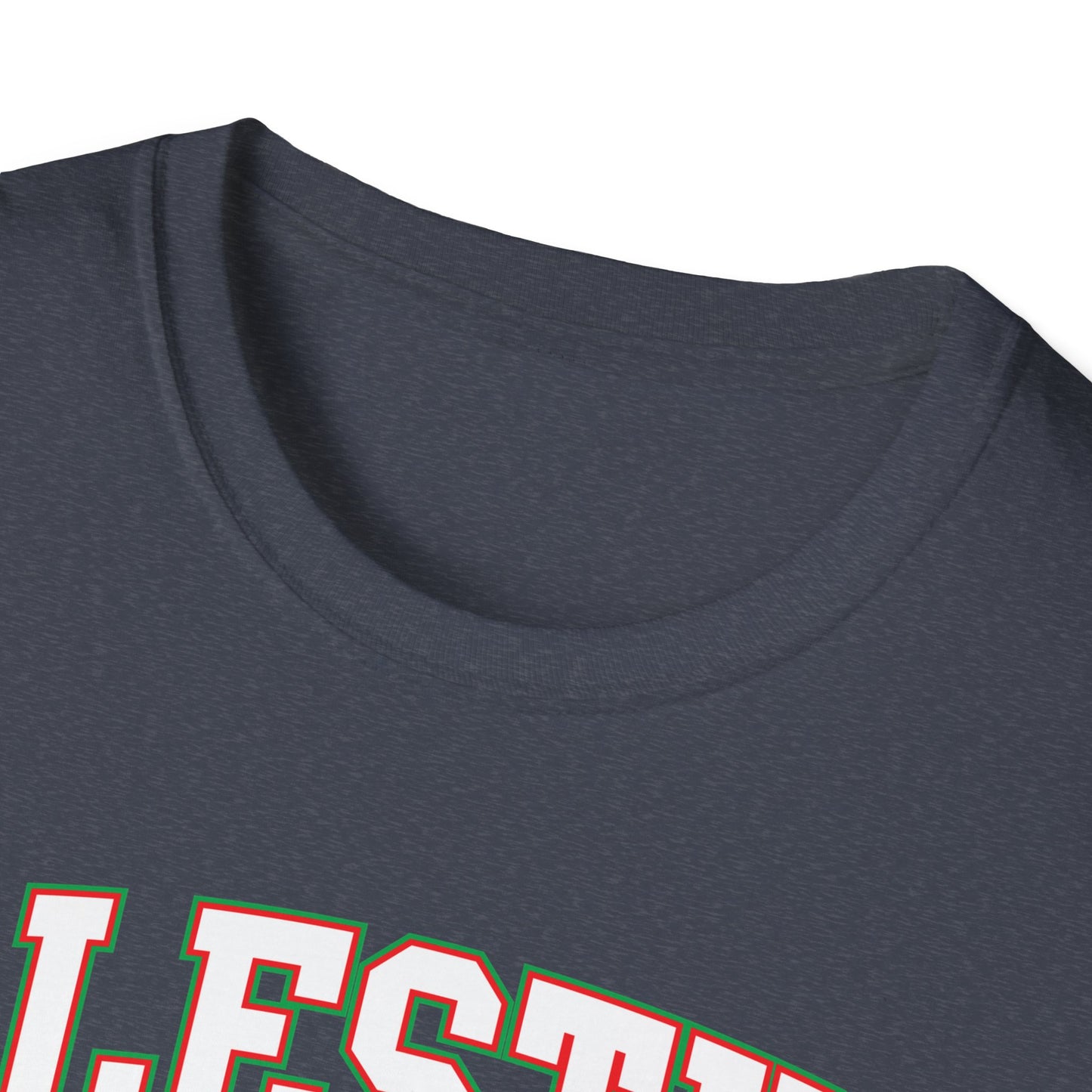 Palestine College Style Texas TX Vintage Sports T-Shirt For Men Women T-Shirt